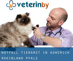 Notfall Tierarzt in Köwerich (Rheinland-Pfalz)