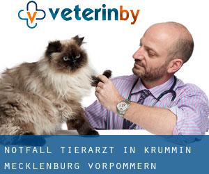 Notfall Tierarzt in Krummin (Mecklenburg-Vorpommern)