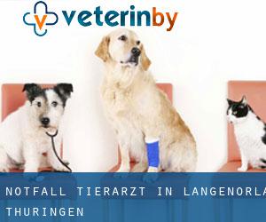 Notfall Tierarzt in Langenorla (Thüringen)
