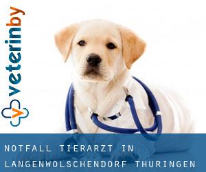 Notfall Tierarzt in Langenwolschendorf (Thüringen)