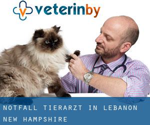 Notfall Tierarzt in Lebanon (New Hampshire)