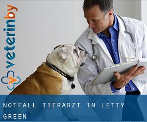 Notfall Tierarzt in Letty Green