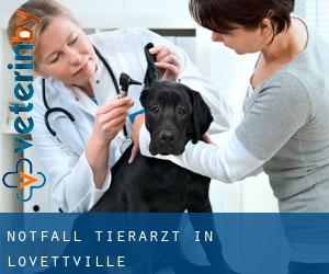 Notfall Tierarzt in Lovettville