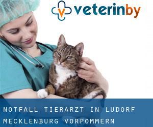 Notfall Tierarzt in Ludorf (Mecklenburg-Vorpommern)
