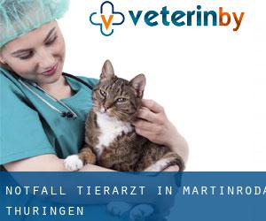 Notfall Tierarzt in Martinroda (Thüringen)