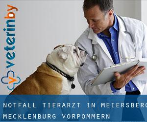 Notfall Tierarzt in Meiersberg (Mecklenburg-Vorpommern)