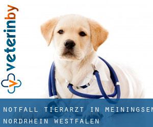 Notfall Tierarzt in Meiningsen (Nordrhein-Westfalen)