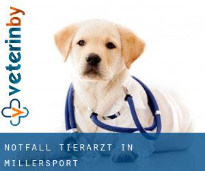 Notfall Tierarzt in Millersport