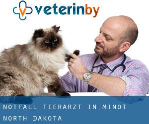 Notfall Tierarzt in Minot (North Dakota)