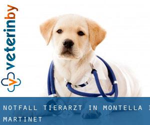 Notfall Tierarzt in Montellà i Martinet