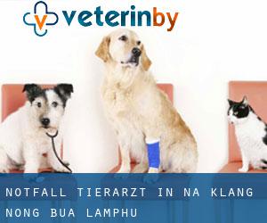 Notfall Tierarzt in Na Klang (Nong Bua Lamphu)