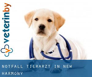 Notfall Tierarzt in New Harmony