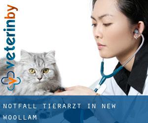 Notfall Tierarzt in New Woollam