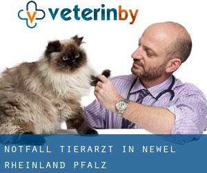 Notfall Tierarzt in Newel (Rheinland-Pfalz)