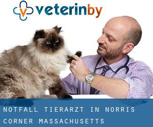 Notfall Tierarzt in Norris Corner (Massachusetts)
