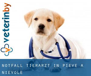 Notfall Tierarzt in Pieve a Nievole