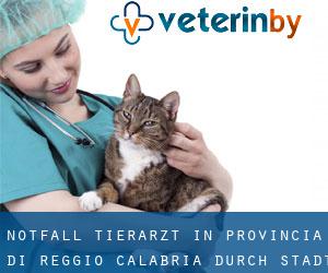 Notfall Tierarzt in Provincia di Reggio Calabria durch stadt - Seite 3