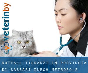Notfall Tierarzt in Provincia di Sassari durch metropole - Seite 1