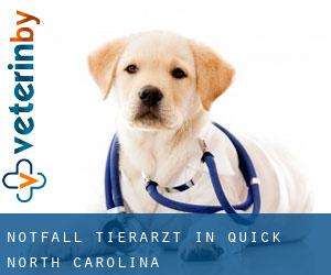 Notfall Tierarzt in Quick (North Carolina)