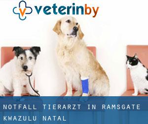 Notfall Tierarzt in Ramsgate (KwaZulu-Natal)