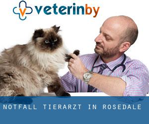 Notfall Tierarzt in Rosedale