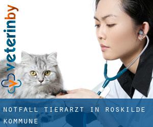 Notfall Tierarzt in Roskilde Kommune