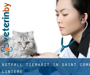 Notfall Tierarzt in Saint-Côme--Linière