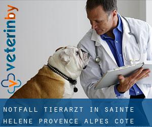 Notfall Tierarzt in Sainte-Hélène (Provence-Alpes-Côte d'Azur)