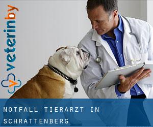 Notfall Tierarzt in Schrattenberg