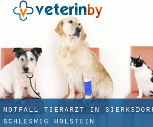 Notfall Tierarzt in Sierksdorf (Schleswig-Holstein)