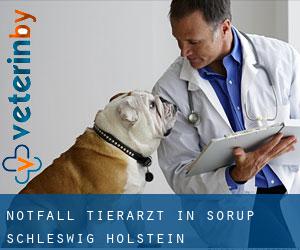 Notfall Tierarzt in Sörup (Schleswig-Holstein)