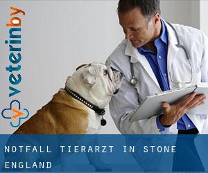 Notfall Tierarzt in Stone (England)