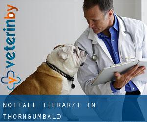 Notfall Tierarzt in Thorngumbald