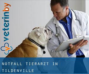 Notfall Tierarzt in Tildenville