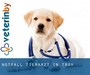 Notfall Tierarzt in Troy