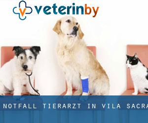 Notfall Tierarzt in Vila-sacra