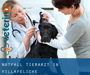 Notfall Tierarzt in Villafeliche