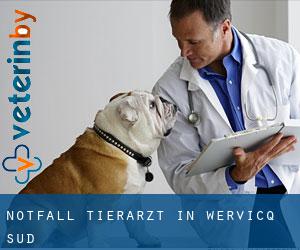 Notfall Tierarzt in Wervicq-Sud