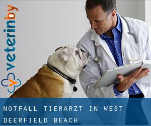 Notfall Tierarzt in West Deerfield Beach