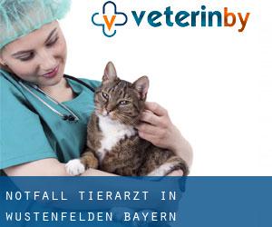 Notfall Tierarzt in Wüstenfelden (Bayern)