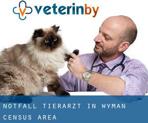 Notfall Tierarzt in Wyman (census area)