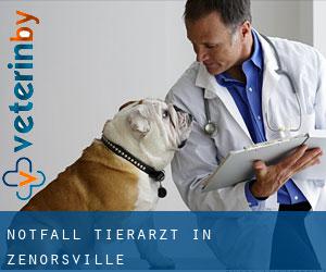 Notfall Tierarzt in Zenorsville