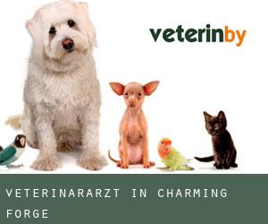 Veterinärarzt in Charming Forge