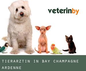 Tierärztin in Bay (Champagne-Ardenne)