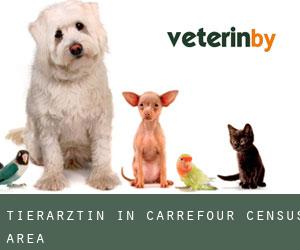 Tierärztin in Carrefour (census area)
