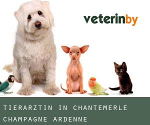 Tierärztin in Chantemerle (Champagne-Ardenne)
