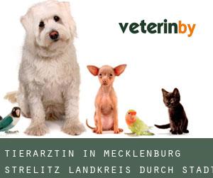 Tierärztin in Mecklenburg-Strelitz Landkreis durch stadt - Seite 2