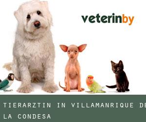Tierärztin in Villamanrique de la Condesa