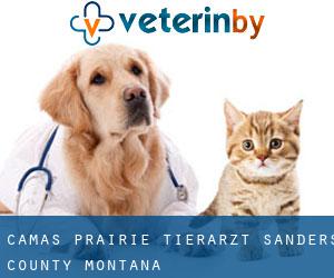 Camas Prairie tierarzt (Sanders County, Montana)