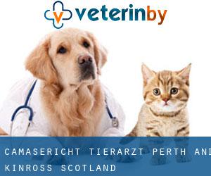 Camasericht tierarzt (Perth and Kinross, Scotland)